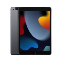 Apple iPad 250GB 10" MK4E3HC/A