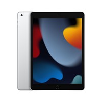 Apple iPad 250GB 10" MK2P3B/A