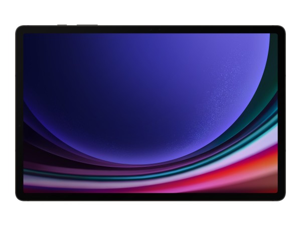 Samsung Galaxy Tab 250GB 12" WQXGA (2560x1600) SM-X810NZAAEUB