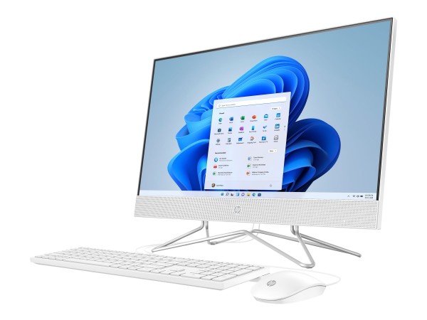 HP 24-df1005ng - All-in-One (Komplettlösung) - Core i3 1125G4 - RAM 8 GB - SSD 256 GB - NVMe - DVD-W